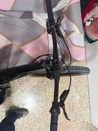MTB Orbea Alma LTD Carbon Tope gama