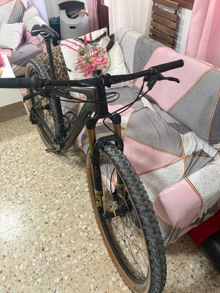 MTB Orbea Alma LTD Carbon Tope gama
