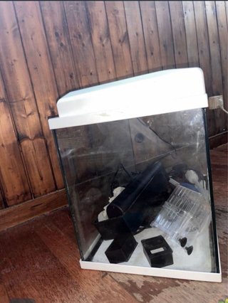 Acuario de cristal completo