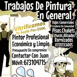 Pintor profesional