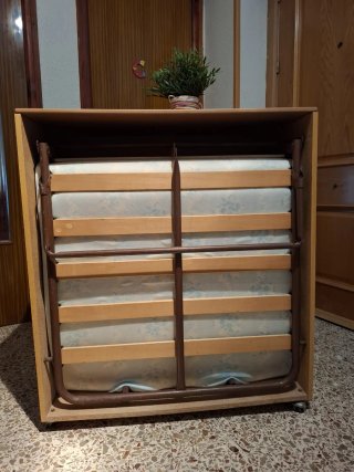 Cama Plegable con Colchón