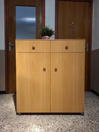 Cama Plegable con Colchón