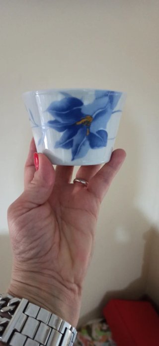 Juego Platos y Tazas Flores Azules