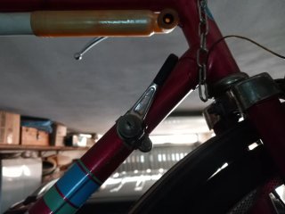 Bicicletta da Touring Rossa