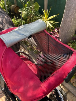 Carro de bebé UPPAbaby Vista rojo
