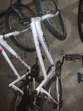 Bicicleta INDUR Rockrider