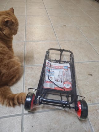 Garribho de transporte，