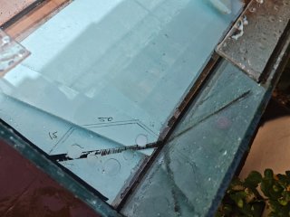 Acuario de 400 litros con mesa inoxidable y sump
