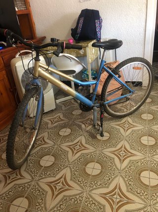 Bicicleta Montaña Azul y Dorada