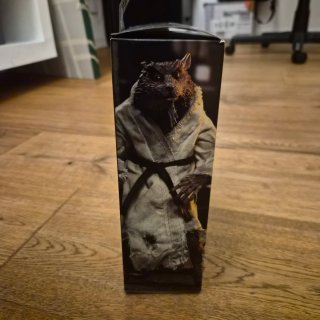NECA Splinter Action Figure