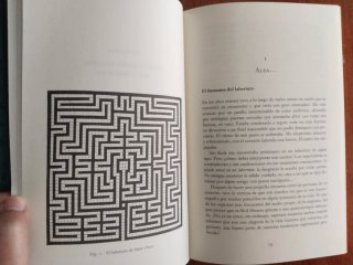 El Universo de los laberintos– Paul de Saint-Hilai