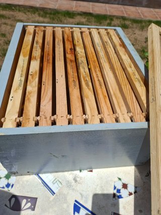 Seis Colmenas nuevas Langstroth con base normal