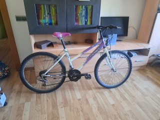 Bicicleta TOPBIKE aro 24