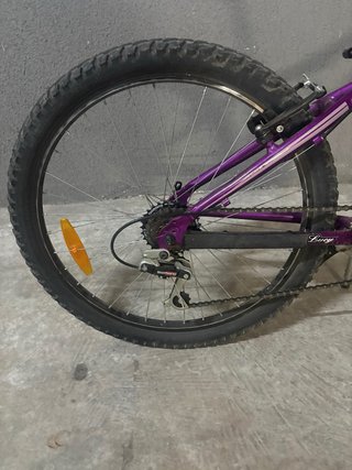 Bicicleta Infantil 24” morada Coluer
