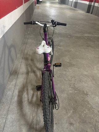 Bicicleta Infantil 24” morada Coluer