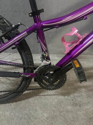Bicicleta Infantil 24” morada Coluer