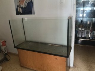 Pecera grande de cristal