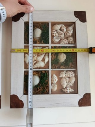 Cuadros decorativos con conchas marinas