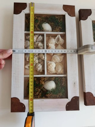 Cuadros decorativos con conchas marinas