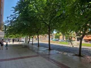 Local
