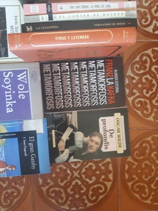 16 Clásicos de la literatura española. Lotex12eu