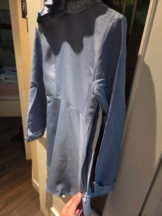 Alquiler Disfraz Fleur Delacour Talla Única