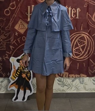 Alquiler Disfraz Fleur Delacour Talla Única