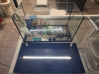 Pecera en Buen Estado de 33 Litros + Accesorios.