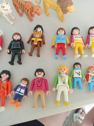 Lote Playmobil figuras y animales