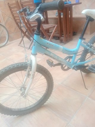 Bicicleta infantil 20 pulgadas