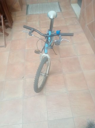 Bicicleta infantil 20 pulgadas