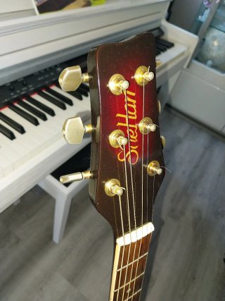 Guitarra Acústica Saejan