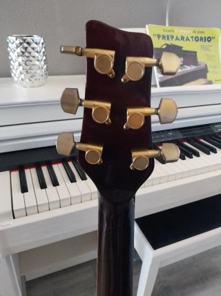 Guitarra Acústica Saejan