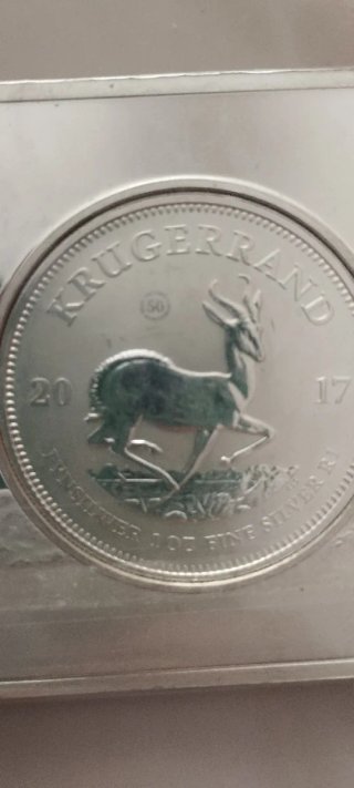 Moneda Plata African Lion Big Five 999