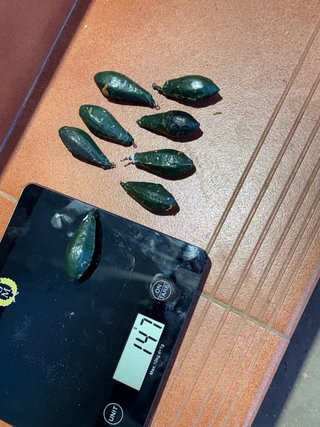 Plomos de pesca verdes