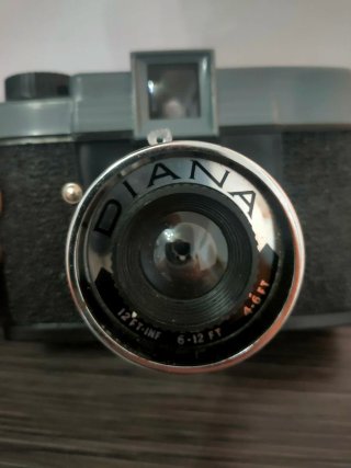 Cámara Diana Berguere France Lomografía