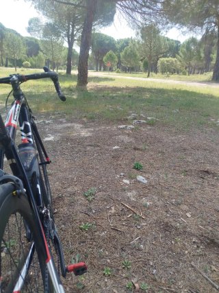 S-Works Allez 2014