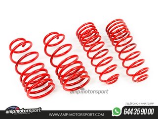 MUELLES DEPORTIVOS MTS TECHNIK MTSXCI010