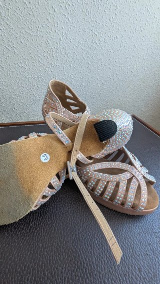 Zapatos de Baile Latino Dorados y Plateados