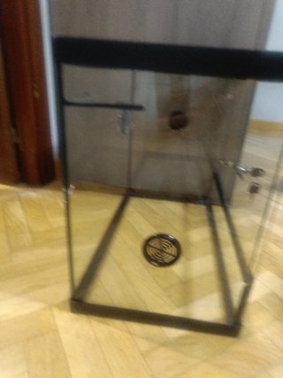 Terrario de cristal negro