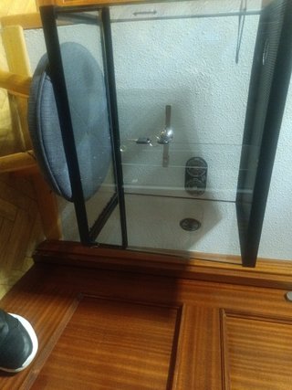 Terrario de cristal negro