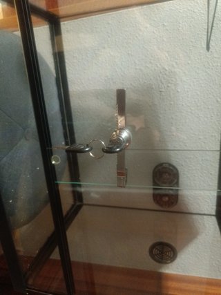 Terrario de cristal negro