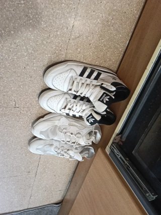 Adidas Zapatillas Blancas y Negras Y Nike blacas.