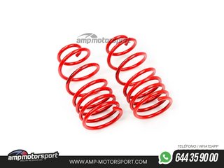 MUELLES DEPORTIVOS MTS TECHNIK MTSXCH003