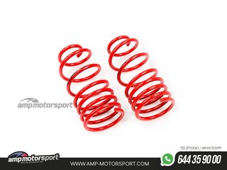 MUELLES DEPORTIVOS MTS TECHNIK MTSXPE109