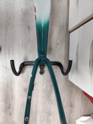 Cuadro Giant TCR Advanced SL Talla M