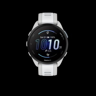 Reloj GPS GARMIN FORERUNNER 165 - Gris claro