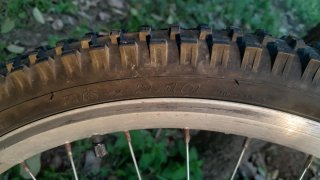 Bicicleta Cups Xtrem DH