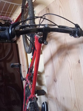 Bicicleta de Montaña Roja