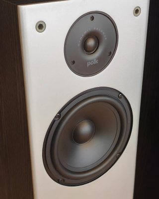 Altavoces Polk Audio M20